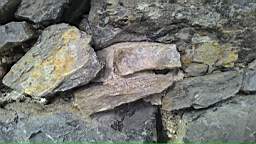 acastle
                          103265.jpg